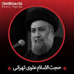 حجت الاسلام علوی تهرانی